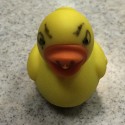 The Duck